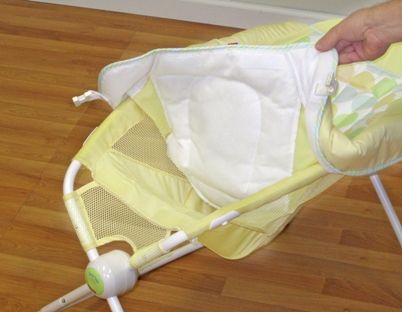 Image of recalled Rock 'N Play Infant Sleeper