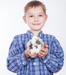 boy with guinea pig