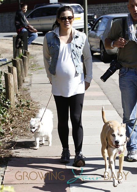 Jenna Dewan Tatum Walks Her Dogs In London