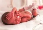 premature baby in isolete