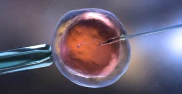 Artificial insemination or in vitro fertilization