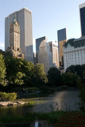 Mom Gives Birth on Fifth Ave With A View Of Central Park