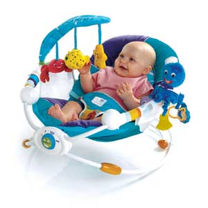 baby einstein seat