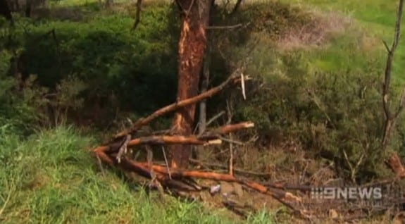 Accident on Tathra Road at Bega