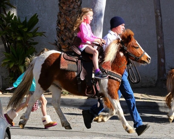 Seraphina Affleck enjoys a pony ride at the farmer's market