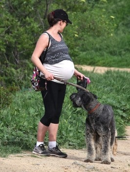 A Very Pregnant Milla Jovovich Hikes The Hills With Her Pups