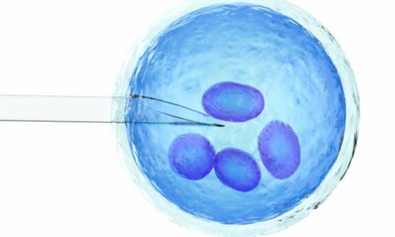 IVF labratory