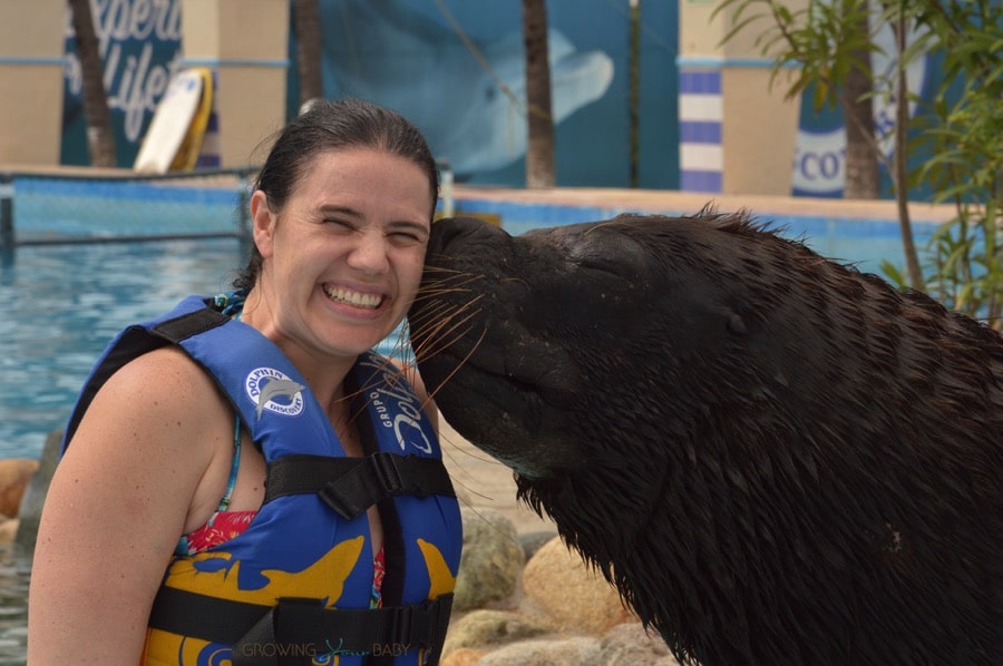 Sea Lion Experience Aquaventuras Park in Puerto Vallarta - They will kiss you
