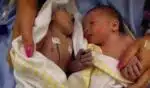 Teddy and Noah Houlston