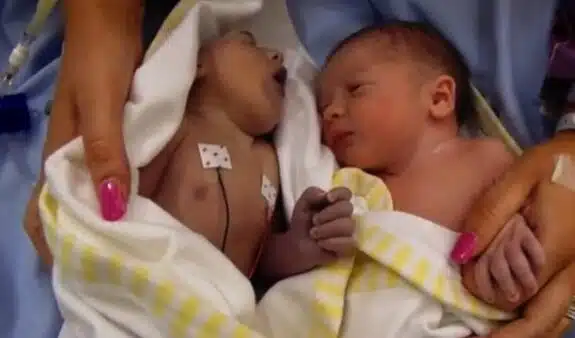 Teddy and Noah Houlston