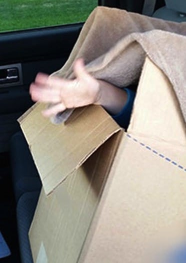 RCMP Pulls Dad Over For Speeding; Finds Boy Hiding In A Box!