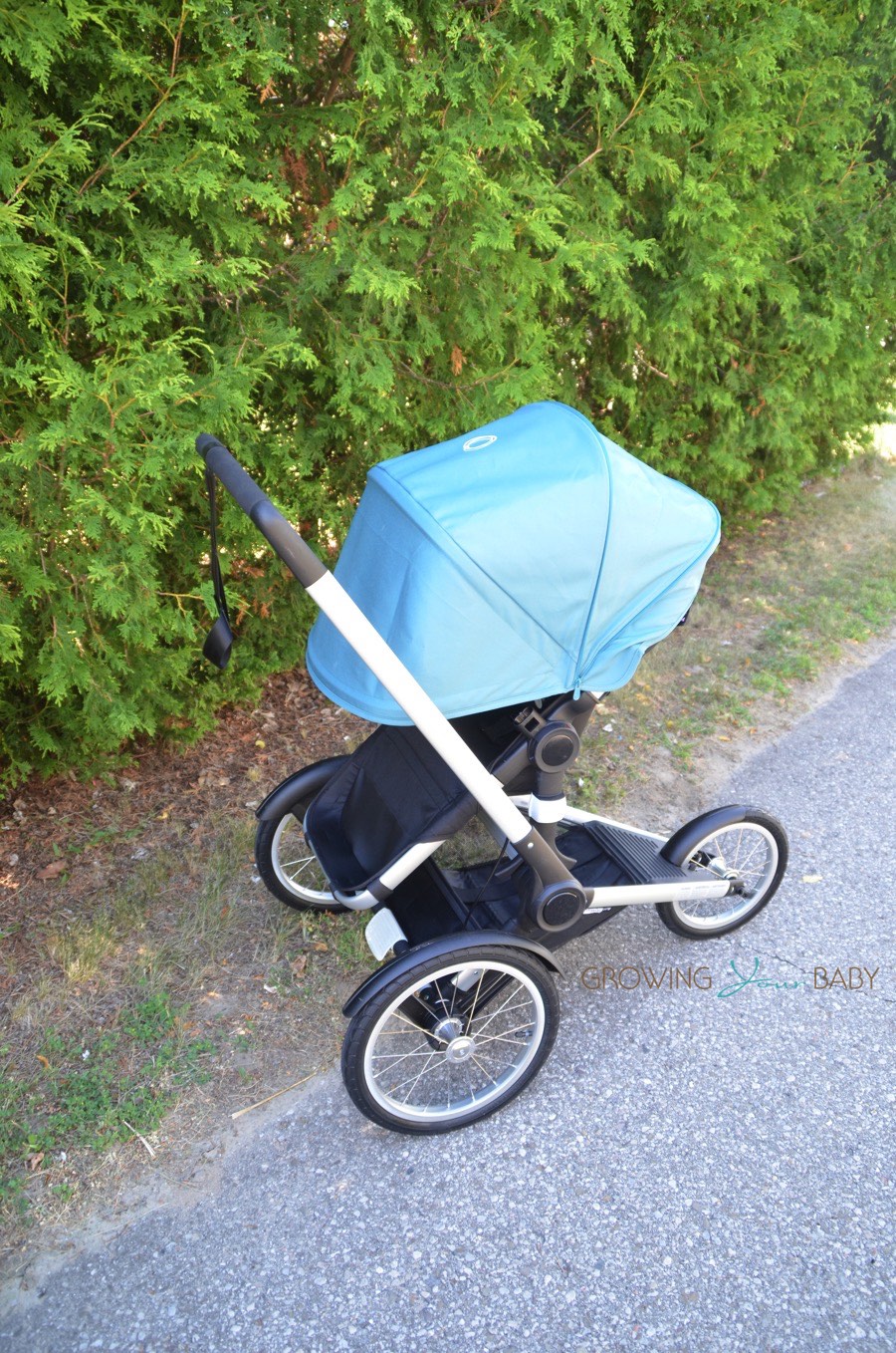 rear facing jogging stroller