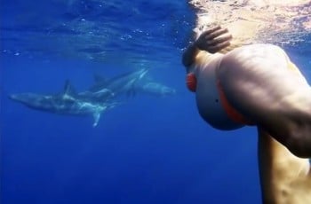 Pregnant Dorina Rosin swims with dolphins