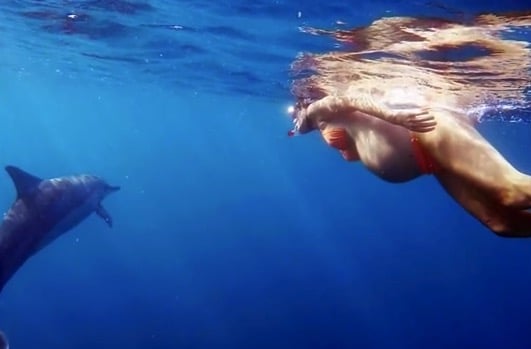 Pregnant Dorina Rosin swims with dolphins