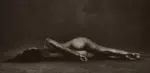 Brian Bowen Smith's Mettalic Life series