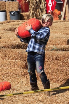 Gwen Stefani's son Zuma Rossdale at Shawn's pumpkin patch