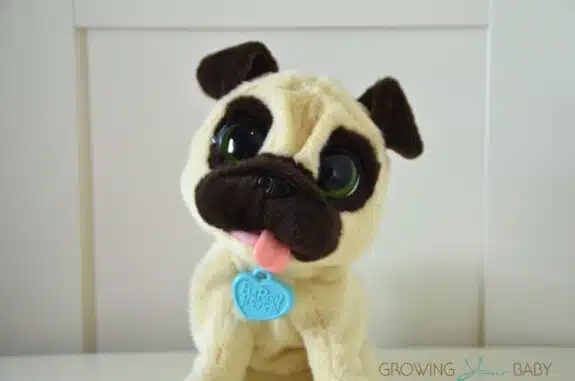 JJ, My Jumpin' Pug Pet