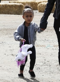 North West at Underwood Farms