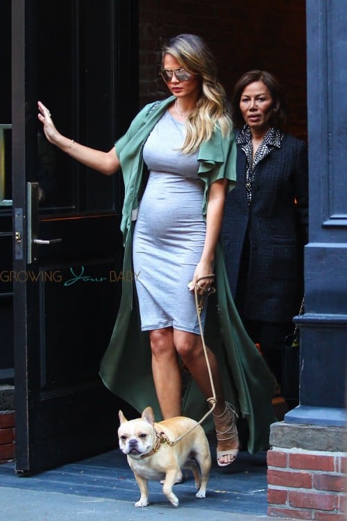 Pregnant Chrissy Teigen steps out with her dog in NYC