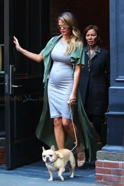 Pregnant Chrissy Teigen steps out with her dog in NYC