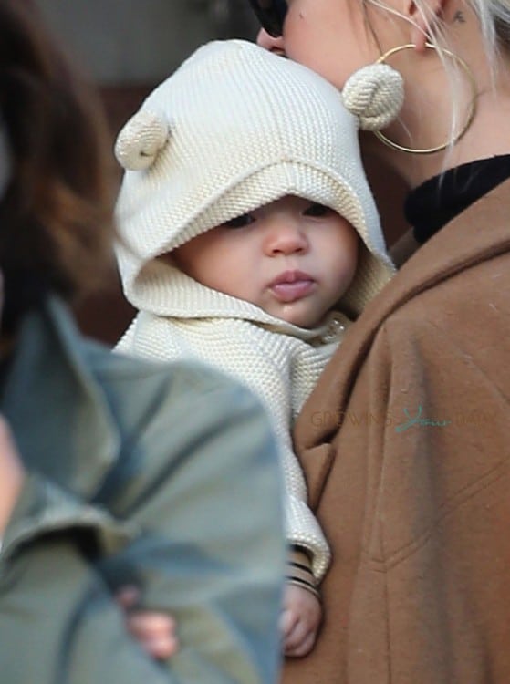 Ashlee Simpson and Evan Ross Take Jagger Out For Lunch