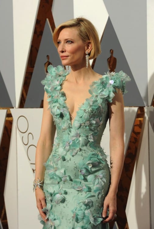 Cate Blanchett walks the red carpet at the 88th Annual Academy Awards
