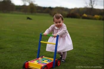 Princess Charlotte's 1st birthday pictures taken at Anmer Hall