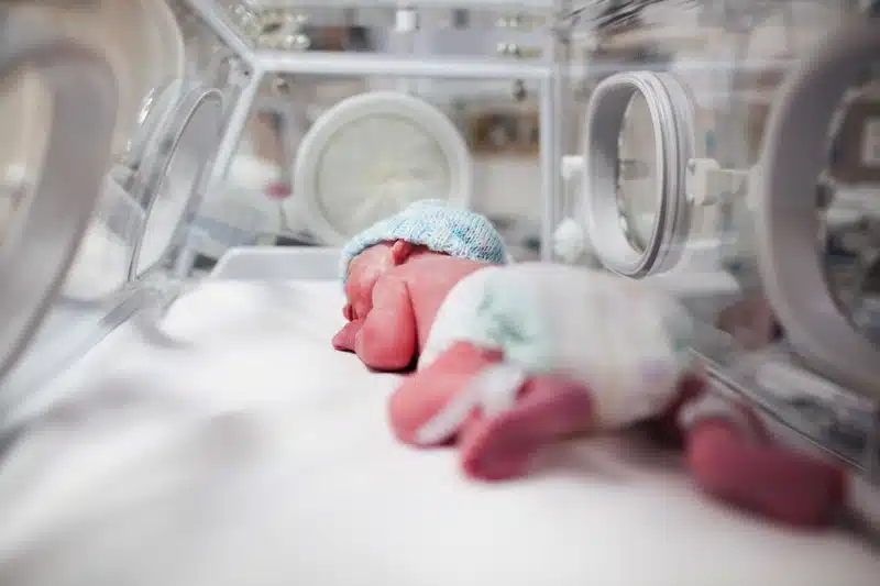 newborn