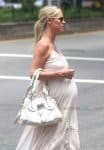 Pregnant Nicky Hilton shops in New York City