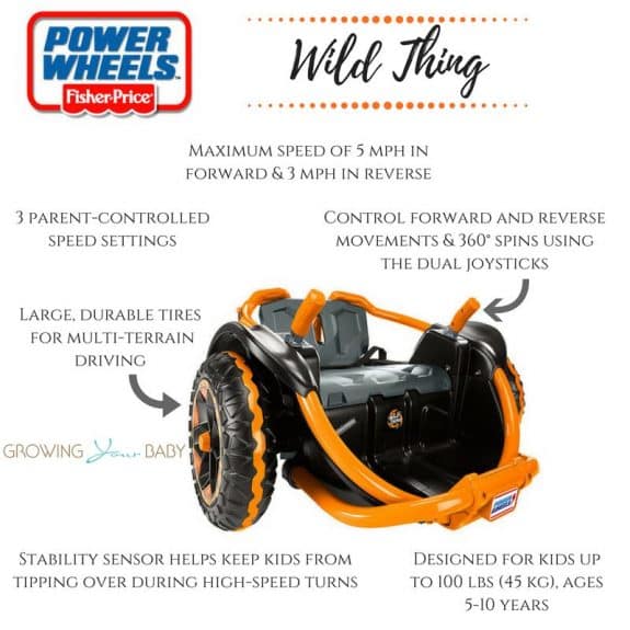 Power Wheels Wild Thing