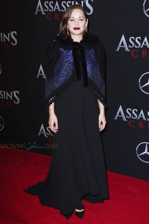Pregnant Marion Cotillard at the premiere of 'Assassins Creed' in New York City, New York on December 13, 2016