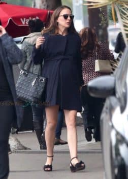 Pregnant Natalie Portman steps out in LA