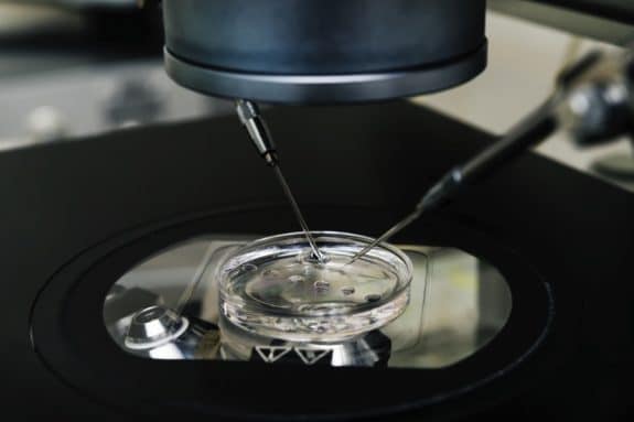 microscope for in vitro fertilization process