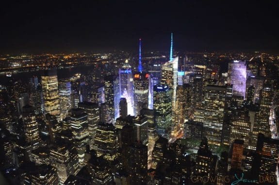 View from the Empire State Building NYC at night