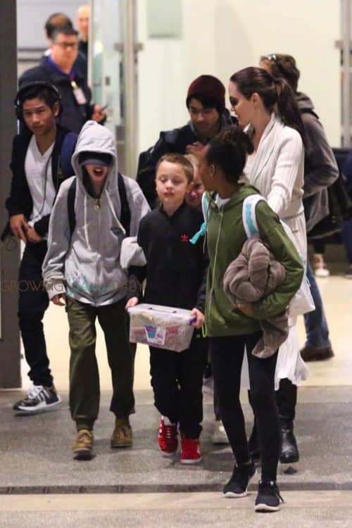 Angelina Jolie is spotted arriving back home in LA with children, Maddox, Vivienne, Pax, Zahara, Shiloh and Knox