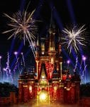 Magic Kingdom Happily Ever After castle show