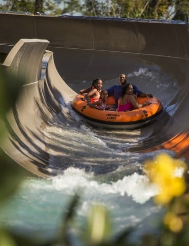 Miss Adventure Falls - Typhoon Lagoon Water Park