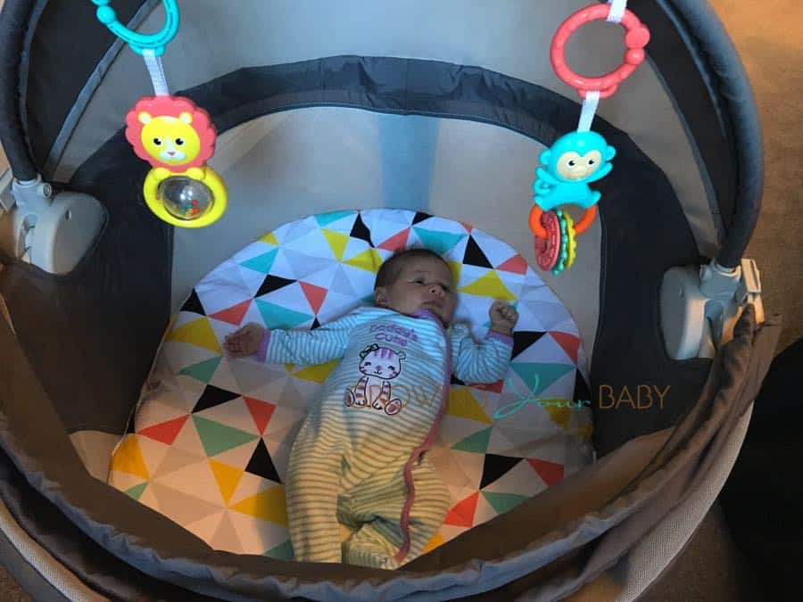 Fisher-Price On-The-Go Baby Dome - Growing Your Baby