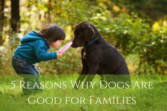 5 Reasons Why Dogs Are Good for Families