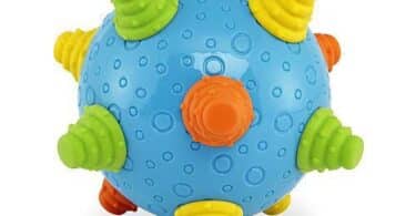 Bruin Infant Wiggle Ball toys