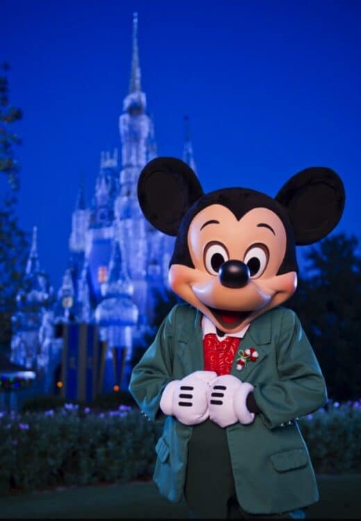 2017 Holidays Walt DIsney World