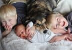 Dogs-May-Protect-Against-Childhood-Eczema-and-asthma