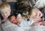 Dogs-May-Protect-Against-Childhood-Eczema-and-asthma