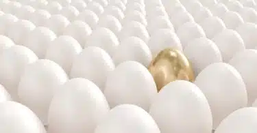 Just-How-Important-Are-Your-Egg-Count-Numbers