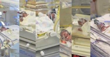 Lebanese woman gives birth to sextuplets