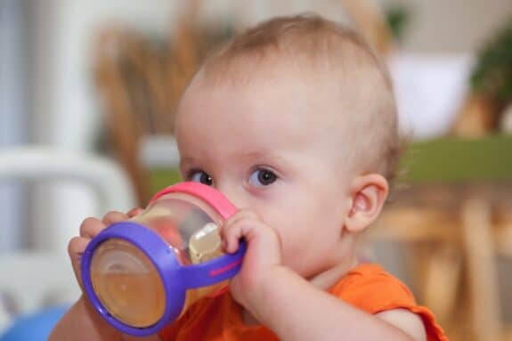 BPA Free Not Free Of Hormone Disrupting Chemicals