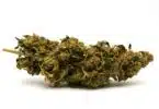 AAP - Pregnant Women Using Marijuana Increasing