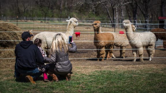 Family visiting local farm