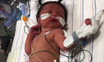 Newborn found naked, abandoned in wooded area in Maryland f
