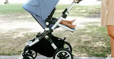 bugaboo lynx stroller